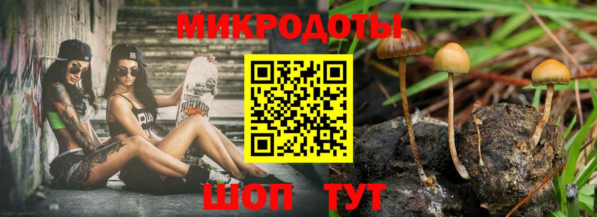 Псилоцибиновые грибы MAGIC MUSHROOMS  Псилоцибиновые грибы MAGIC MUSHROOMS  Новый Уренгой  Вход с VPN 